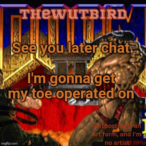 Wutbird announcement (thanks protogens) | See you later chat; I'm gonna get my toe operated on | image tagged in wutbird announcement thanks protogens | made w/ Imgflip meme maker