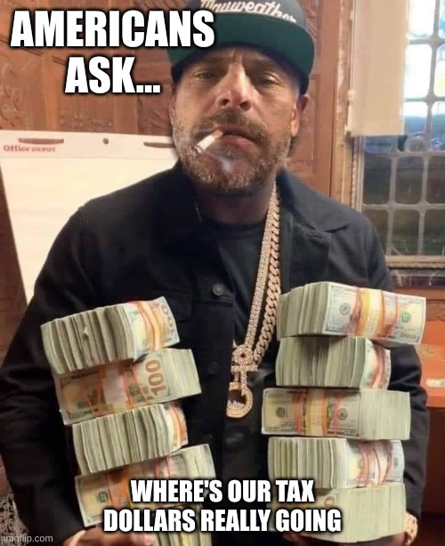 Our Tax Dollars | AMERICANS ASK... WHERE'S OUR TAX DOLLARS REALLY GOING | image tagged in hunter biden bag man | made w/ Imgflip meme maker