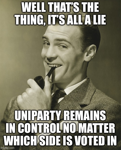 Smug | WELL THAT’S THE THING, IT’S ALL A LIE UNIPARTY REMAINS IN CONTROL NO MATTER WHICH SIDE IS VOTED IN | image tagged in smug | made w/ Imgflip meme maker
