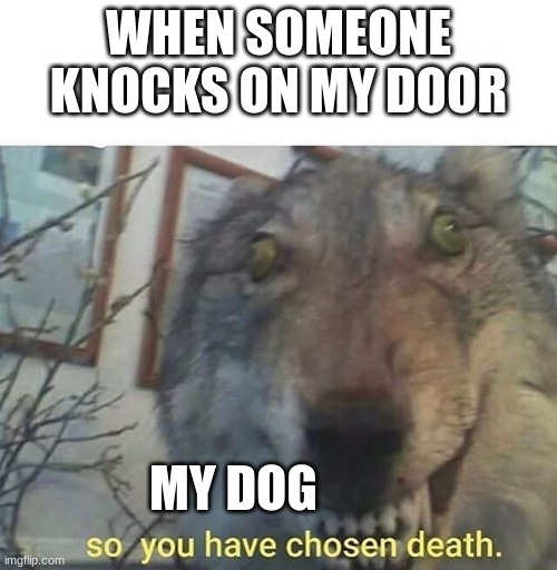 Or rings the doorbell | WHEN SOMEONE KNOCKS ON MY DOOR; MY DOG | image tagged in so you have chosen death | made w/ Imgflip meme maker