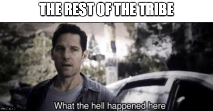 What the hell happened here | THE REST OF THE TRIBE | image tagged in what the hell happened here | made w/ Imgflip meme maker