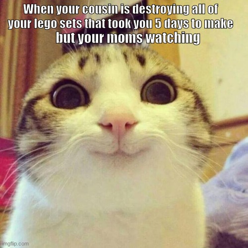 Smiling Cat Meme | When your cousin is destroying all of your lego sets that took you 5 days to make; but your moms watching | image tagged in memes,smiling cat | made w/ Imgflip meme maker