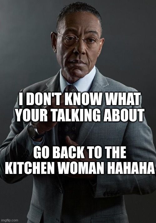 We are not the same | I DON'T KNOW WHAT YOUR TALKING ABOUT GO BACK TO THE KITCHEN WOMAN HAHAHA | image tagged in we are not the same | made w/ Imgflip meme maker