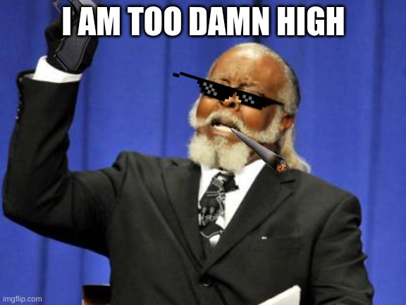 Too Damn High | I AM TOO DAMN HIGH | image tagged in memes,too damn high | made w/ Imgflip meme maker