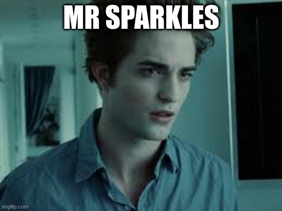 Glitter | MR SPARKLES | image tagged in memes | made w/ Imgflip meme maker