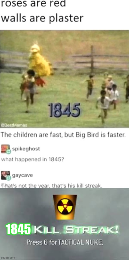 wut | 1845 | image tagged in tactical nuke,big bird,cursed image | made w/ Imgflip meme maker