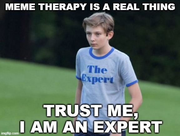 Meme Therapy | MEME THERAPY IS A REAL THING; TRUST ME, I AM AN EXPERT | image tagged in the expert,memes,therapy | made w/ Imgflip meme maker