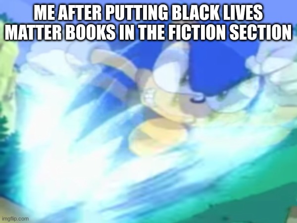ME AFTER PUTTING BLACK LIVES MATTER BOOKS IN THE FICTION SECTION | made w/ Imgflip meme maker