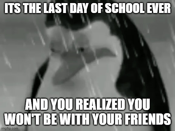 i won But a what cost.. | ITS THE LAST DAY OF SCHOOL EVER; AND YOU REALIZED YOU WON'T BE WITH YOUR FRIENDS | image tagged in sadge | made w/ Imgflip meme maker