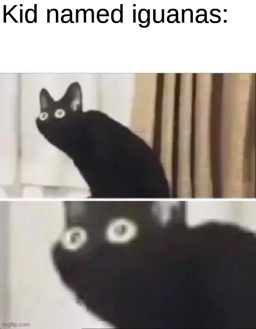 Oh No Black Cat | Kid named iguanas: | image tagged in oh no black cat | made w/ Imgflip meme maker