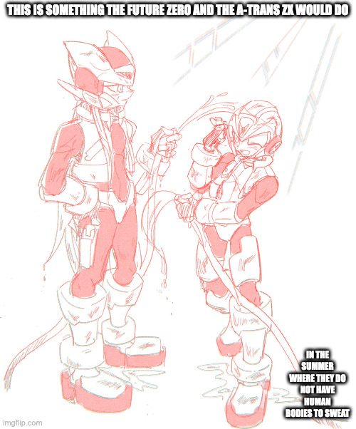 Future Zero and ZX With Water Hoses | THIS IS SOMETHING THE FUTURE ZERO AND THE A-TRANS ZX WOULD DO; IN THE SUMMER WHERE THEY DO NOT HAVE HUMAN BODIES TO SWEAT | image tagged in megaman zero,zero,zx,megaman zx,memes,megaman | made w/ Imgflip meme maker