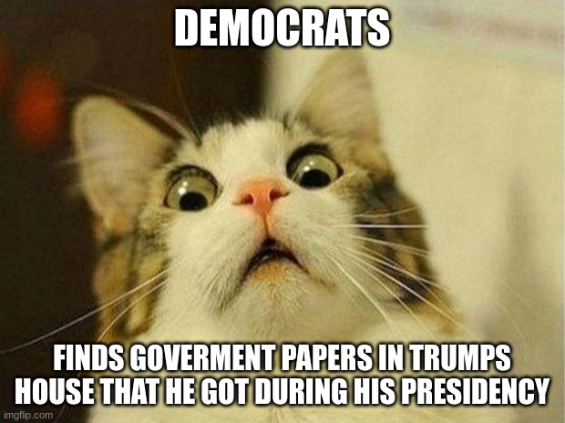 Scared Cat | DEMOCRATS; FINDS GOVERMENT PAPERS IN TRUMPS HOUSE THAT HE GOT DURING HIS PRESIDENCY | image tagged in memes,scared cat | made w/ Imgflip meme maker