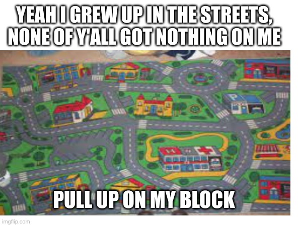 YEAH I GREW UP IN THE STREETS, NONE OF Y'ALL GOT NOTHING ON ME; PULL UP ON MY BLOCK | image tagged in funny memes,memes | made w/ Imgflip meme maker