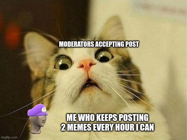 Scared Cat Meme | MODERATORS ACCEPTING POST; ME WHO KEEPS POSTING 2 MEMES EVERY HOUR I CAN | image tagged in memes,scared cat | made w/ Imgflip meme maker