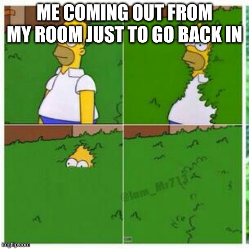 Homer hides | ME COMING OUT FROM MY ROOM JUST TO GO BACK IN | image tagged in homer hides | made w/ Imgflip meme maker