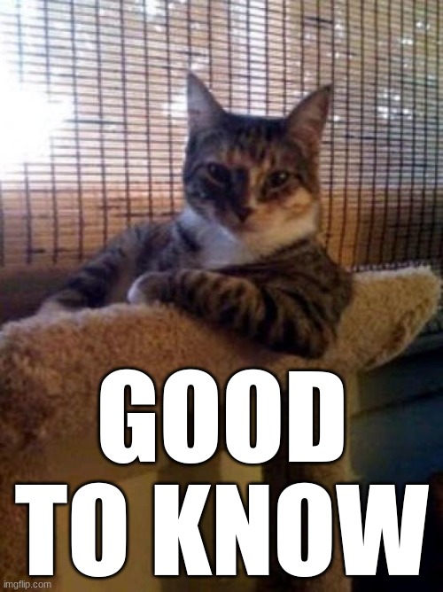 The Most Interesting Cat In The World Meme | GOOD TO KNOW | image tagged in memes,the most interesting cat in the world | made w/ Imgflip meme maker