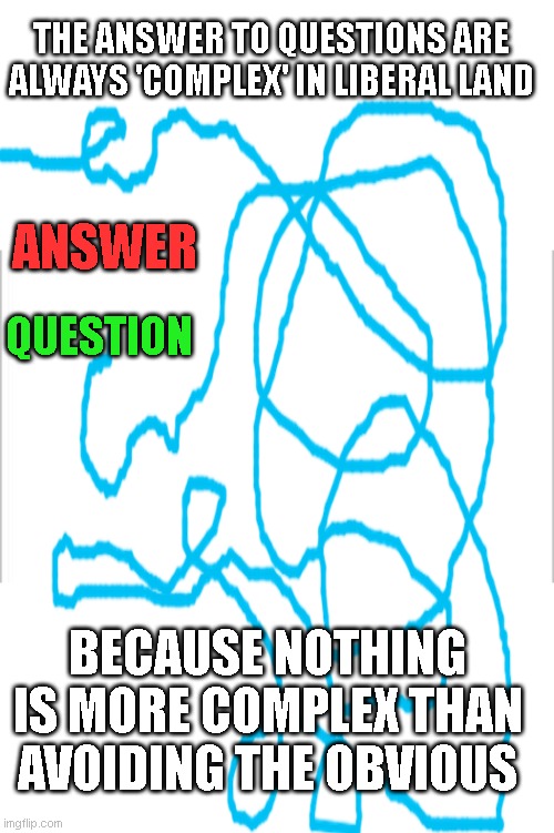 white background | THE ANSWER TO QUESTIONS ARE ALWAYS 'COMPLEX' IN LIBERAL LAND; ANSWER; QUESTION; BECAUSE NOTHING IS MORE COMPLEX THAN AVOIDING THE OBVIOUS | image tagged in white background | made w/ Imgflip meme maker