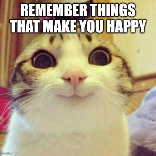 Happy | REMEMBER THINGS THAT MAKE YOU HAPPY | image tagged in memes,smiling cat,motivation,positive thinking | made w/ Imgflip meme maker