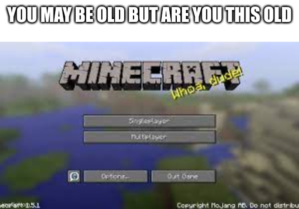 Remember... | YOU MAY BE OLD BUT ARE YOU THIS OLD | image tagged in minecraft,nostalgia | made w/ Imgflip meme maker