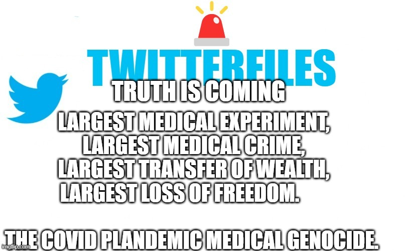 twitterfiles | LARGEST MEDICAL EXPERIMENT, LARGEST MEDICAL CRIME, LARGEST TRANSFER OF WEALTH, LARGEST LOSS OF FREEDOM.                                   THE COVID PLANDEMIC MEDICAL GENOCIDE. TRUTH IS COMING | image tagged in twitterfiles | made w/ Imgflip meme maker