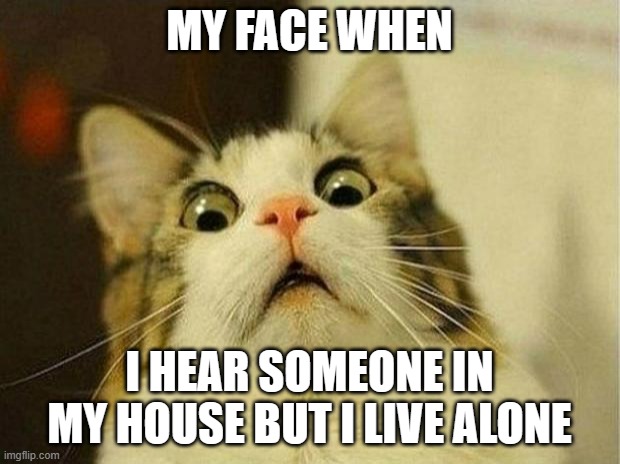 @ your house | MY FACE WHEN; I HEAR SOMEONE IN MY HOUSE BUT I LIVE ALONE | image tagged in memes,scared cat | made w/ Imgflip meme maker