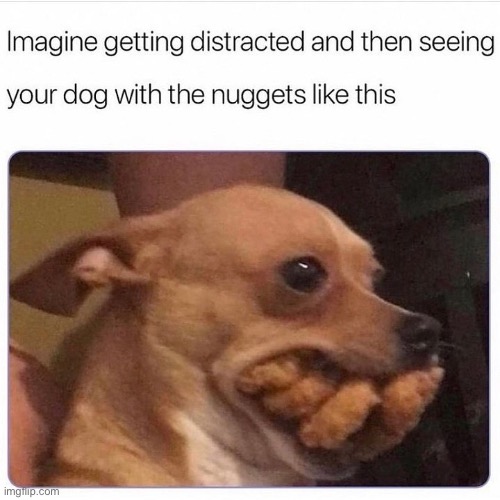 Ha | image tagged in dugs | made w/ Imgflip meme maker