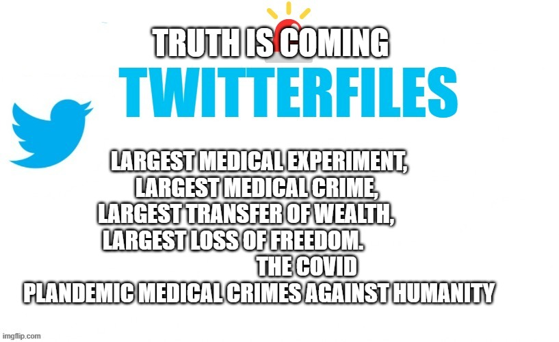 twitterfiles | TRUTH IS COMING; LARGEST MEDICAL EXPERIMENT, LARGEST MEDICAL CRIME, 
 LARGEST TRANSFER OF WEALTH,        LARGEST LOSS OF FREEDOM.                                   THE COVID PLANDEMIC MEDICAL CRIMES AGAINST HUMANITY | image tagged in twitterfiles | made w/ Imgflip meme maker