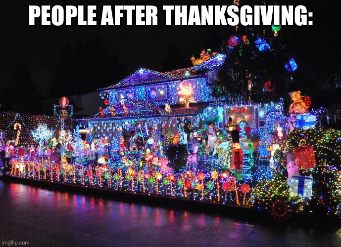 so annoying | PEOPLE AFTER THANKSGIVING: | image tagged in christmas decorations | made w/ Imgflip meme maker