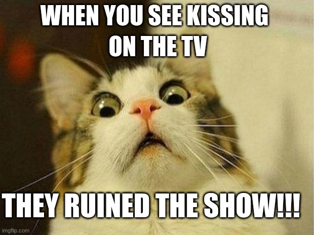 Scared Cat | ON THE TV; WHEN YOU SEE KISSING; THEY RUINED THE SHOW!!! | image tagged in memes,scared cat | made w/ Imgflip meme maker