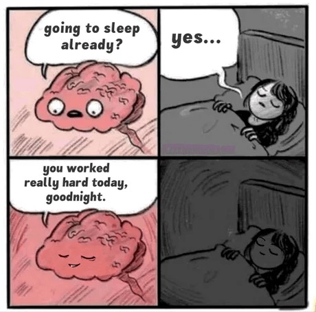 Sleep brain fine Blank Meme Template