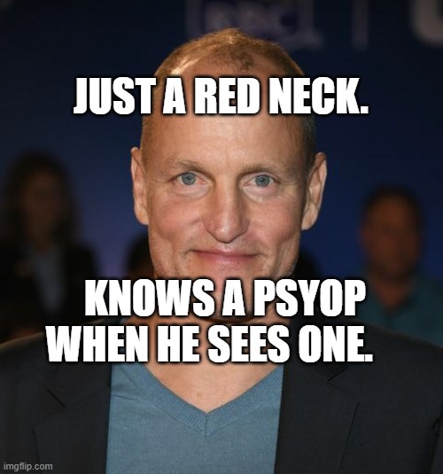 Woody Harrelson | JUST A RED NECK. KNOWS A PSYOP WHEN HE SEES ONE. | image tagged in woody harrelson | made w/ Imgflip meme maker