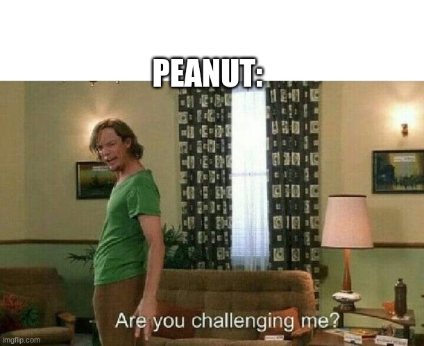 Are you challenging me? | PEANUT: | image tagged in are you challenging me | made w/ Imgflip meme maker