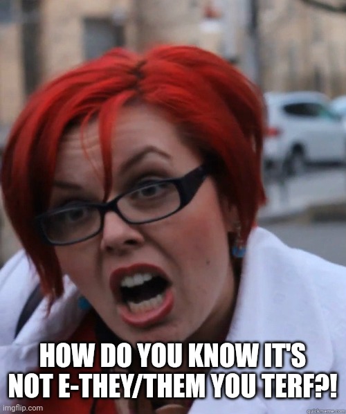 Feminist Face | HOW DO YOU KNOW IT'S NOT E-THEY/THEM YOU TERF?! | image tagged in feminist face | made w/ Imgflip meme maker