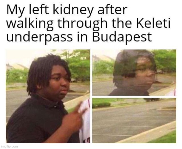 image tagged in budapest,disappointed black guy,repost,kidneys,memes,funny | made w/ Imgflip meme maker