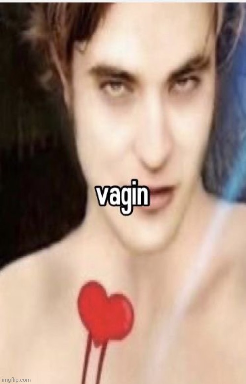 Vagin | image tagged in vagin | made w/ Imgflip meme maker