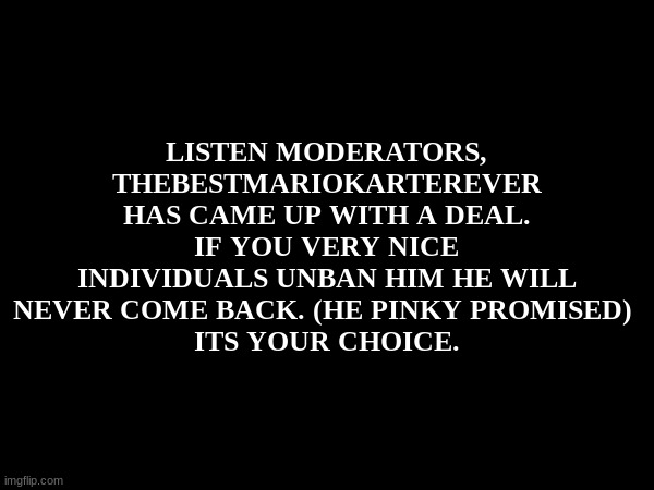 serious..listen mods. | LISTEN MODERATORS, THEBESTMARIOKARTEREVER HAS CAME UP WITH A DEAL. IF YOU VERY NICE INDIVIDUALS UNBAN HIM HE WILL NEVER COME BACK. (HE PINKY PROMISED) 
ITS YOUR CHOICE. | image tagged in no bitches,discord moderator,moderators,monkey,serious | made w/ Imgflip meme maker