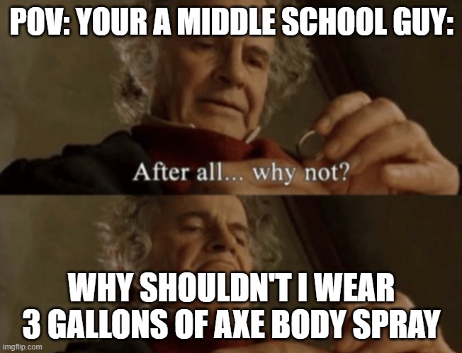 After all.. why not? | POV: YOUR A MIDDLE SCHOOL GUY:; WHY SHOULDN'T I WEAR 3 GALLONS OF AXE BODY SPRAY | image tagged in after all why not | made w/ Imgflip meme maker