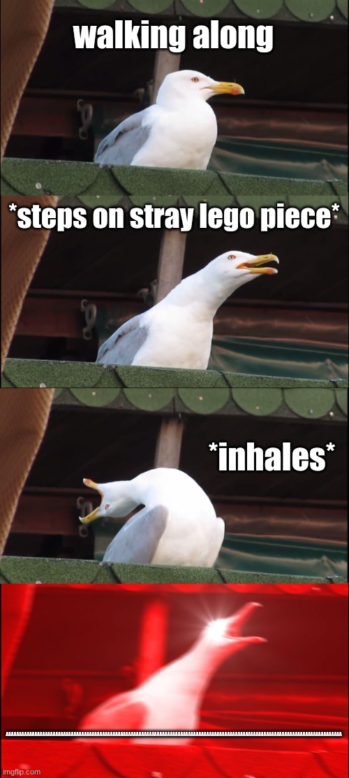 how many times has this happened to you? | walking along; *steps on stray lego piece*; *inhales*; AAAAAAAAAAAAAAAAAAAAAAAAAAAAAAAAAAAAAAAAAAAAAAAAAAAAAAAAAAAAAAAAAAAAAAAAAAAAAAAAAAAAAAAAAAAAAAAAAAAAAAAAAAAAAAAAAAAAAAAAAAAAAAAAA | image tagged in memes,inhaling seagull | made w/ Imgflip meme maker