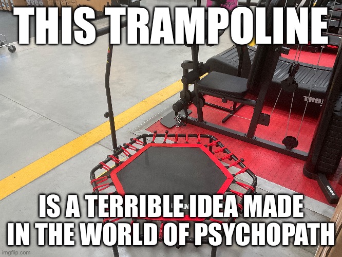 Trampoline memes 2.0 | THIS TRAMPOLINE; IS A TERRIBLE IDEA MADE IN THE WORLD OF PSYCHOPATH | image tagged in trampoline | made w/ Imgflip meme maker