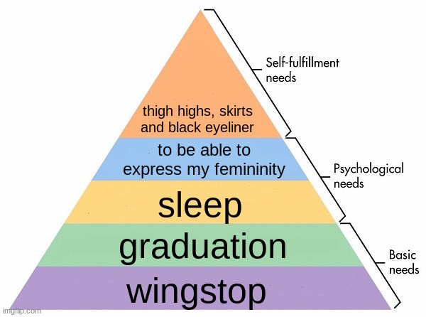 i too am joining the trend | thigh highs, skirts and black eyeliner; to be able to express my femininity; sleep; graduation; wingstop | image tagged in maslow's hierarchy of needs | made w/ Imgflip meme maker