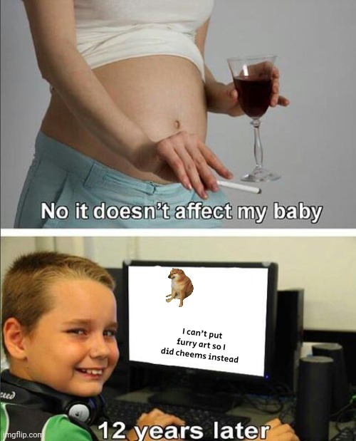 It affected the baby... | I can't put furry art so I did cheems instead | image tagged in no it doesn't affect my baby | made w/ Imgflip meme maker