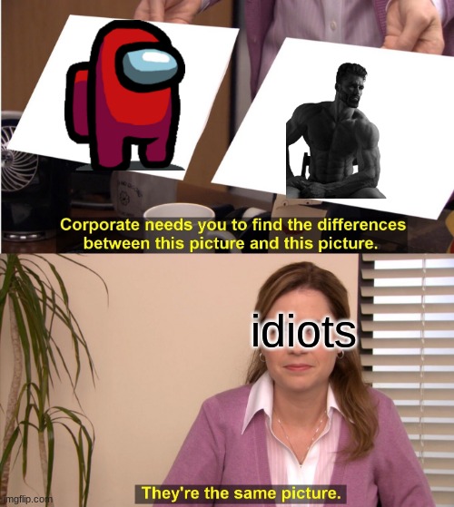 They're The Same Picture Meme | idiots | image tagged in memes,they're the same picture | made w/ Imgflip meme maker