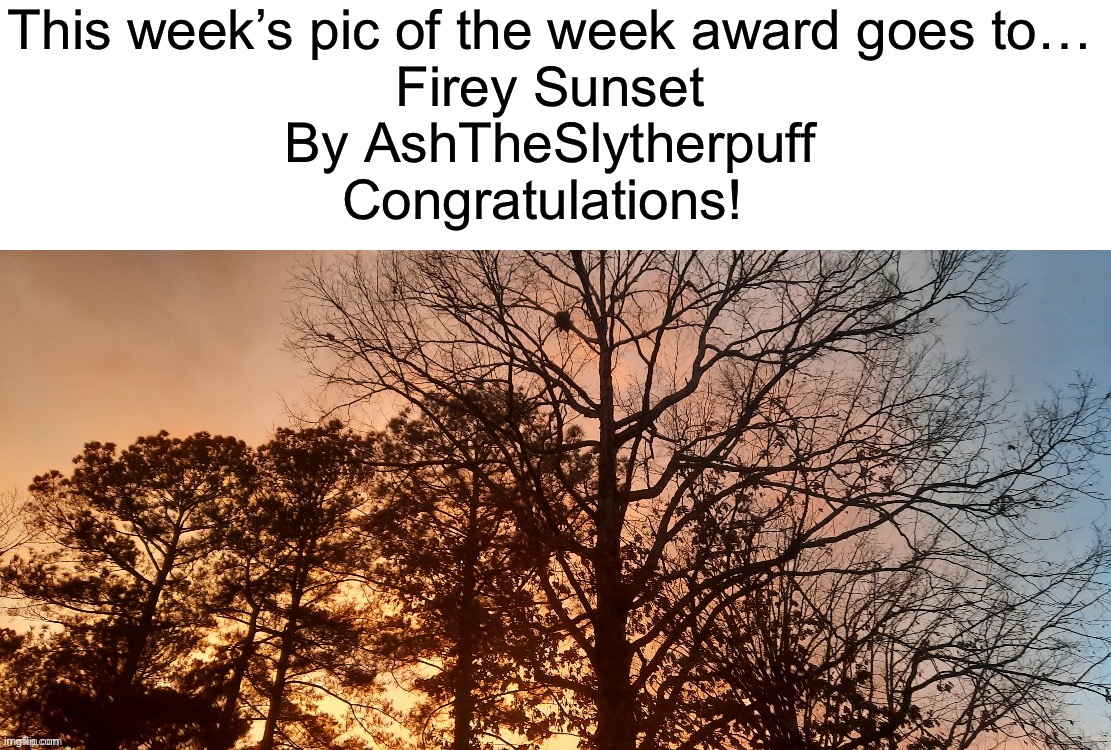 Firey Sunset by @AshTheSlytherpuff https://imgflip.com/i/7c56go | This week’s pic of the week award goes to…
Firey Sunset
By AshTheSlytherpuff
Congratulations! | image tagged in share your own photos | made w/ Imgflip meme maker