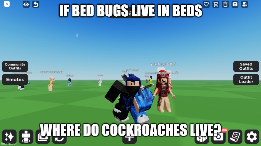 Zero the robloxian | IF BED BUGS LIVE IN BEDS; WHERE DO COCKROACHES LIVE? | image tagged in zero the robloxian | made w/ Imgflip meme maker