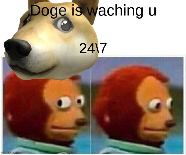 doge the 3rd | Doge is waching u; 24\7 | image tagged in hehehe | made w/ Imgflip meme maker