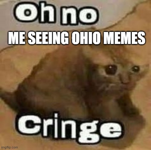 OHIO | ME SEEING OHIO MEMES | image tagged in oh no cringe,ohio,ohio state | made w/ Imgflip meme maker