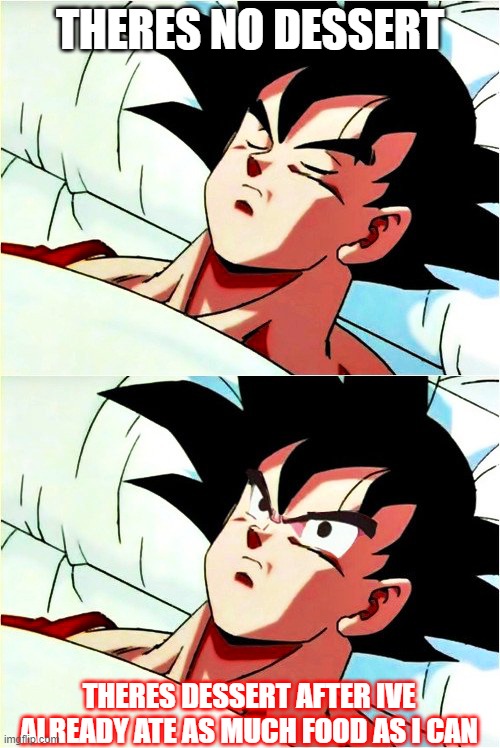 goku sleeping wake up | THERES NO DESSERT; THERES DESSERT AFTER IVE ALREADY ATE AS MUCH FOOD AS I CAN | image tagged in goku sleeping wake up | made w/ Imgflip meme maker