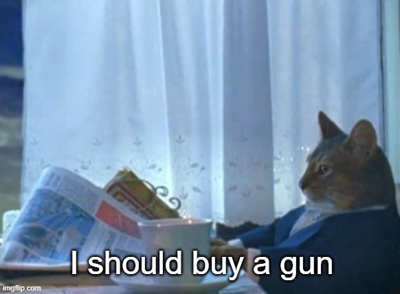 He's just reading the "Local Events" page | I should buy a gun | image tagged in memes,i should buy a boat cat | made w/ Imgflip meme maker