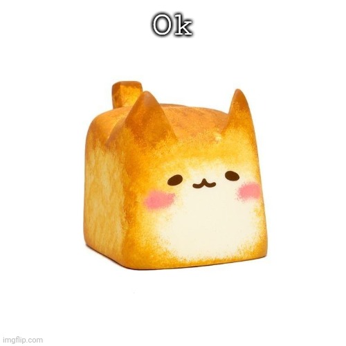 Catbread | Ok | image tagged in catbread | made w/ Imgflip meme maker