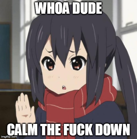 Calm The Fuck Down - Anime meme | WHOA DUDE CALM THE F**K DOWN | image tagged in calm the fuck down,anime,moe,cats,k-on,funny | made w/ Imgflip meme maker